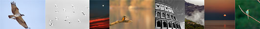 fotoraccontata (9K)