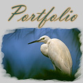 highlights_portfolio (40K)
