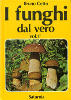 fundalveropic1 (15K)