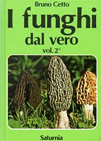fundalveropic2 (14K)