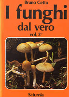 fundalveropic3 (13K)