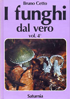 fundalveropic4 (12K)