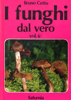 fundalveropic6 (12K)