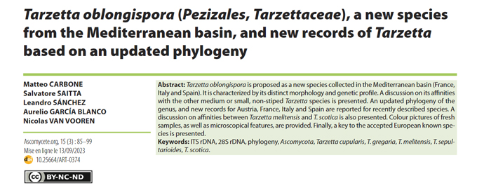 ascomycetes15 (188K)