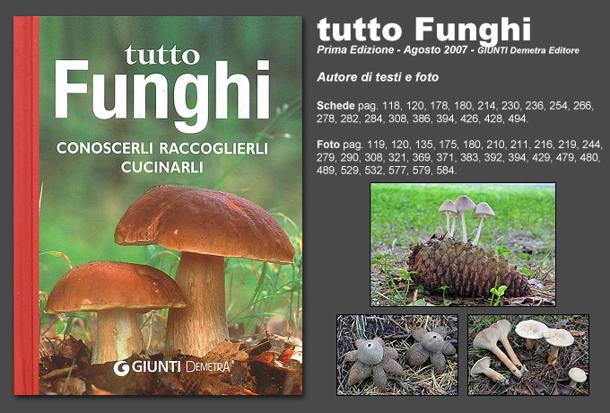 tuttofunghi (358K)